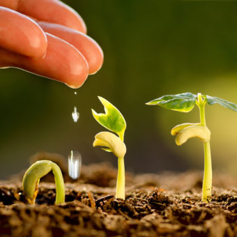 Culture d'entreprise